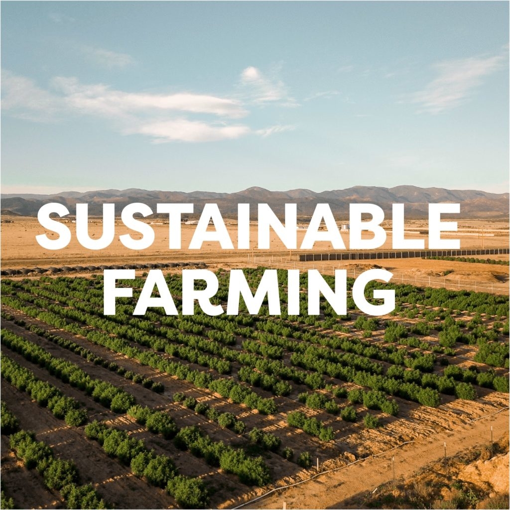 sustainable hemp farming practice of veritas farms