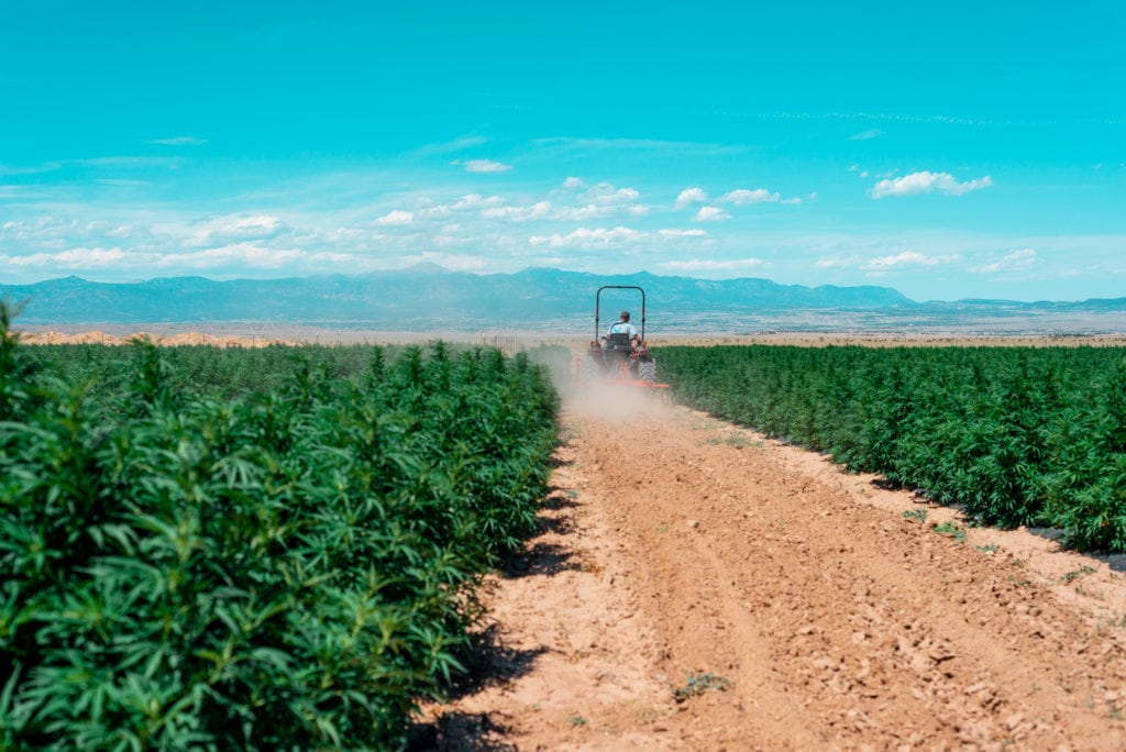Full Spectrum CBD Oil Farm