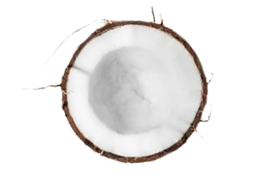 Organic Fractionated Coconut Oil