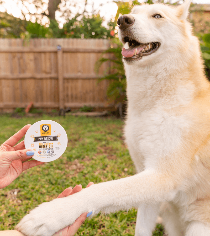 the veritas pets difference