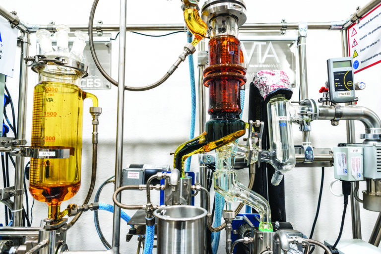 CBD Oil vs. Full-Spectrum Hemp Oil Extraction | Veritas Farms